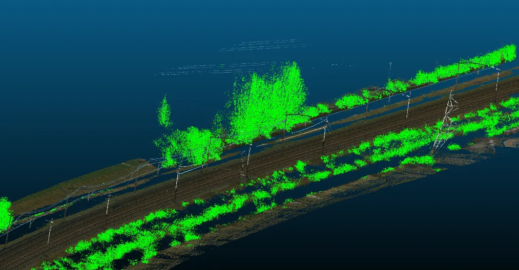 3D Vegetatie Segmentatie
