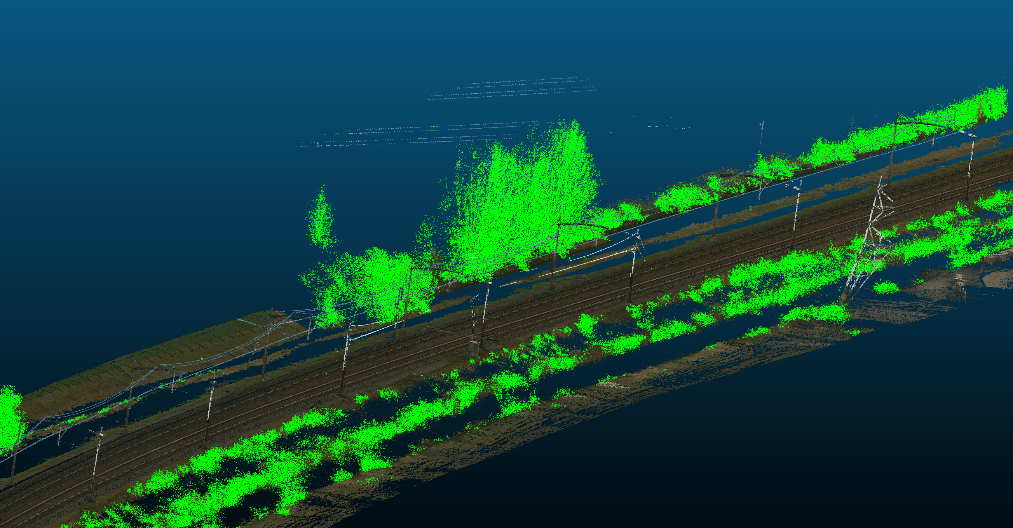 3D Vegetatie Segmentatie